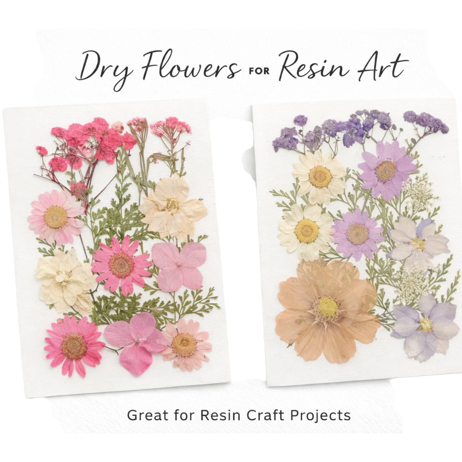 Pressed flowers sheet with pink daisies, white flowers, and green leaves for resin art