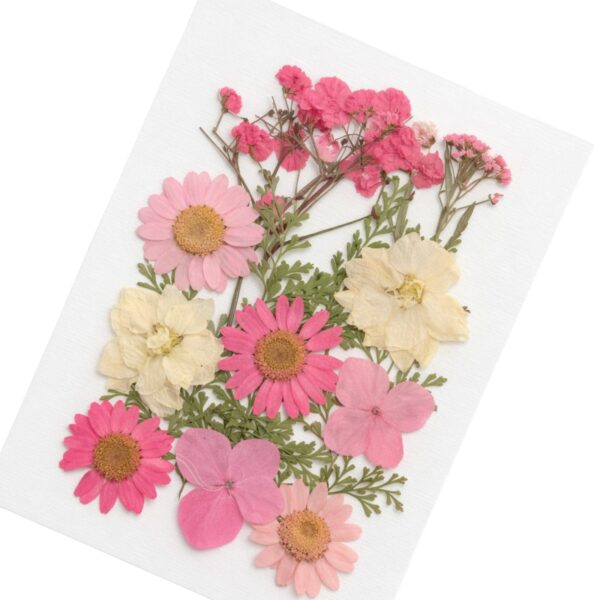Pressed flowers sheet with pink daisies, white flowers, and green leaves for resin art