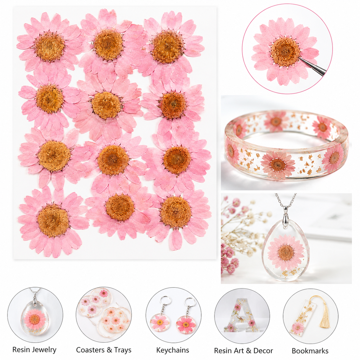 pink daisy pressed dried flowers resin craft use cases including pendant coaster keychain and bookmark
